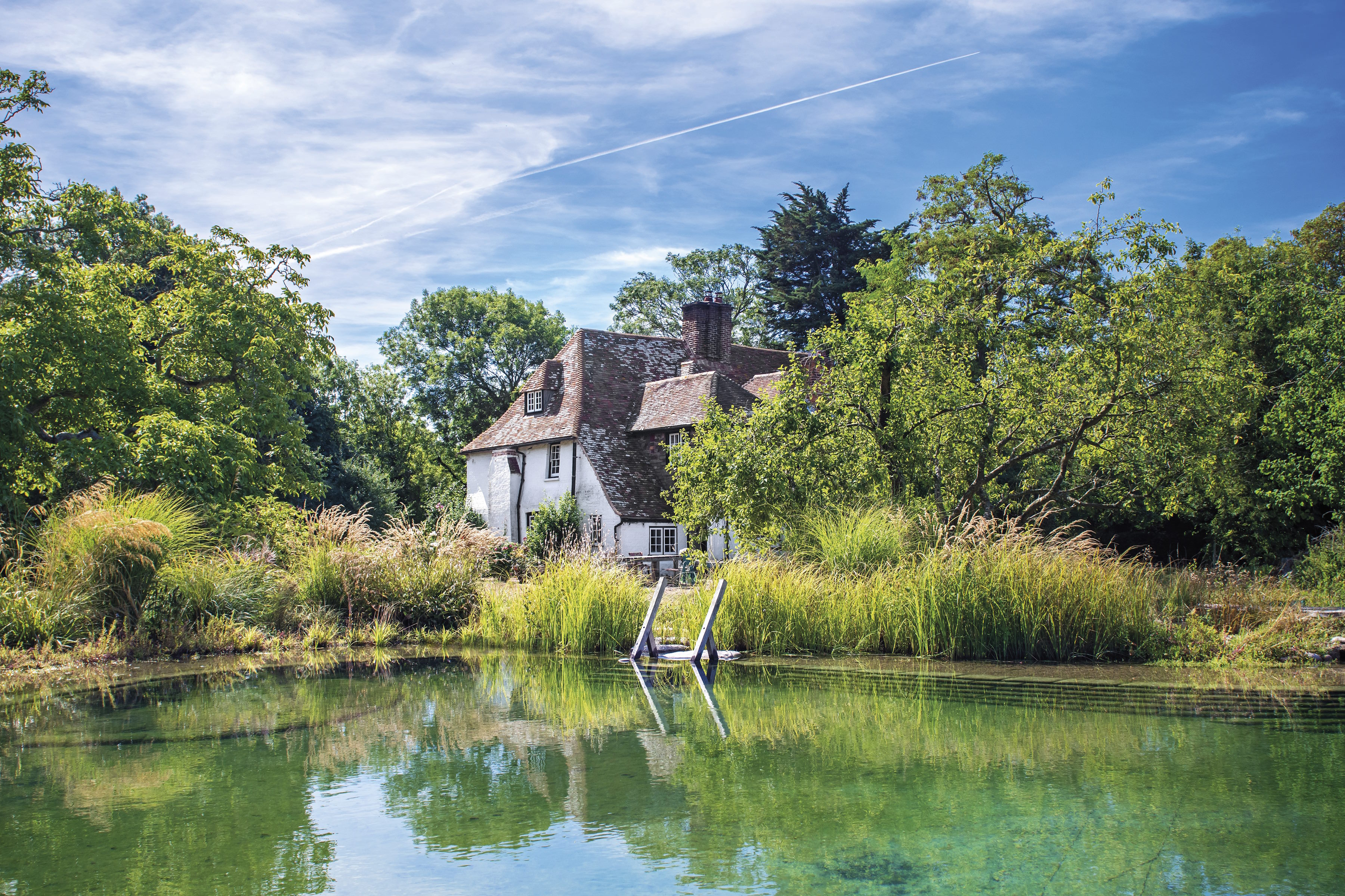 Natural swimming pool project 302WAR